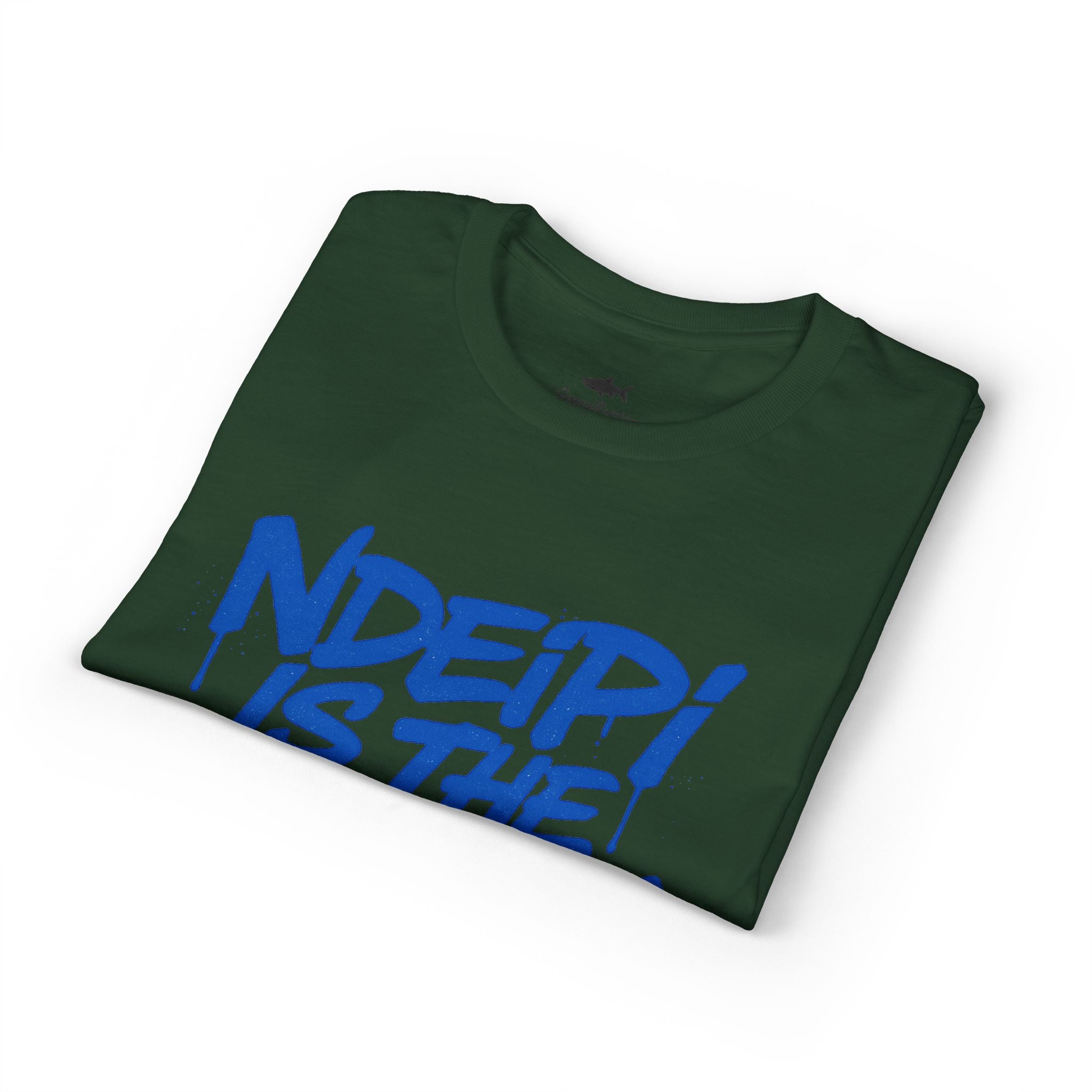 NDEIPI Is The ARK Graphic T-Shirt
