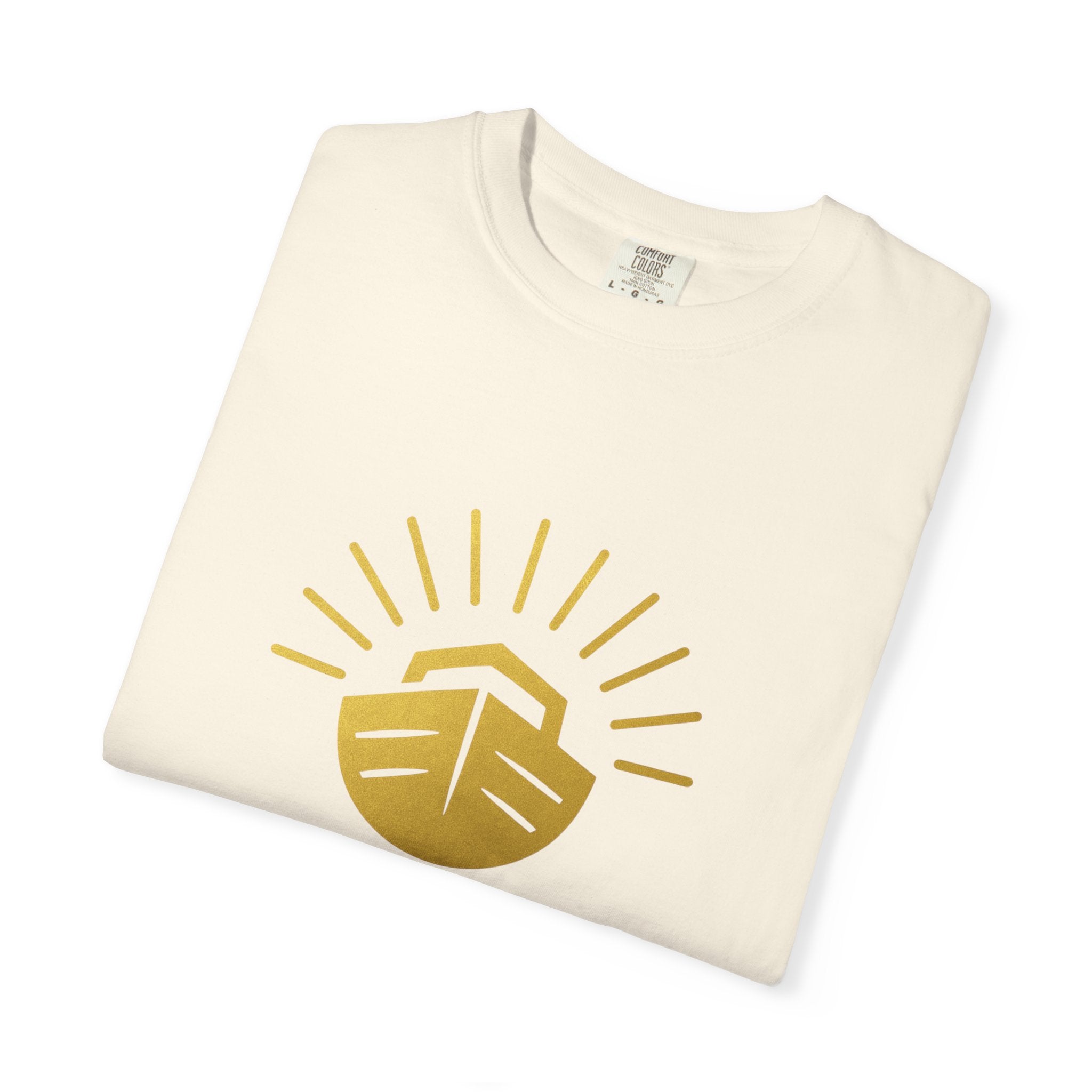 NDEIPI Is The Ark T-Shirt