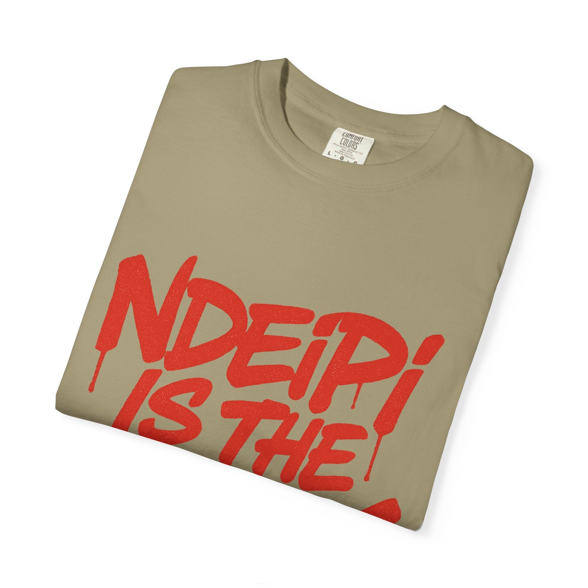 T-Shirt — "NDEIPI IS THE ARK" Red Graffiti Graphic Tee