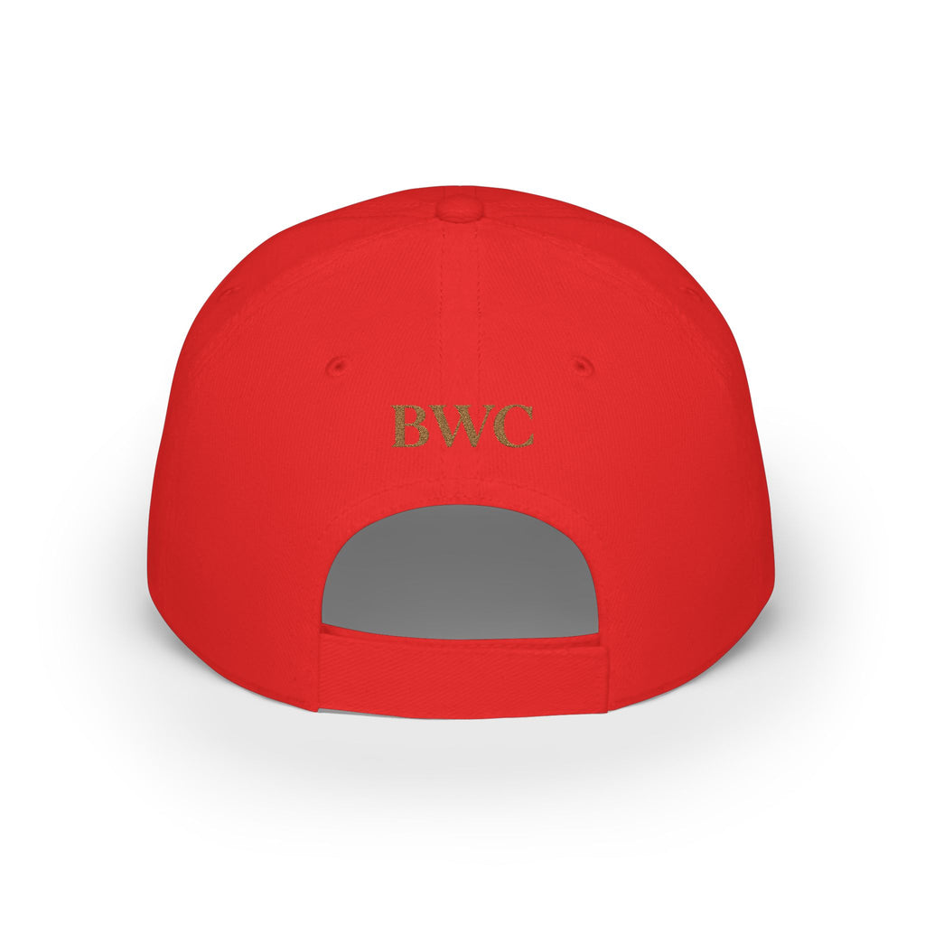 Anti FOMO Club Cap — Low Profile Baseball Hat with Crown Embroidery