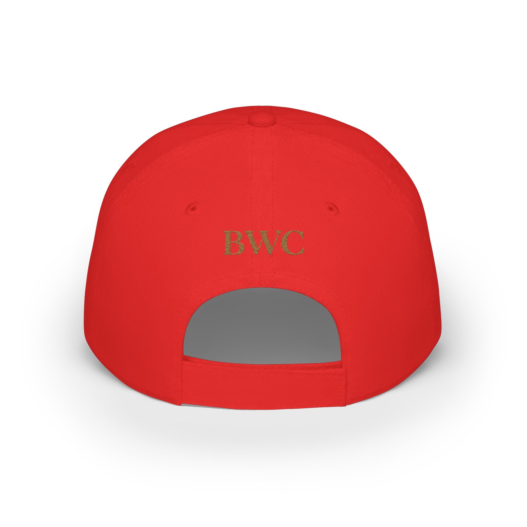 Anti FOMO Club Cap — Low Profile Baseball Hat with Crown Embroidery