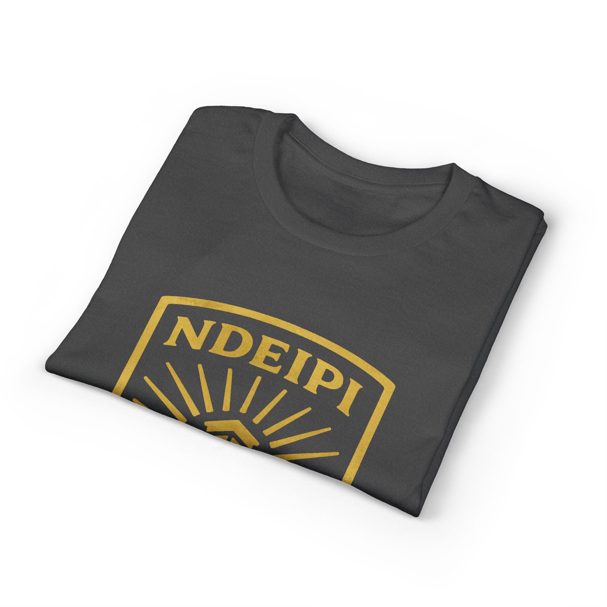 NDEIPI Is The Ark T-Shirt — Vintage Shield Logo Tee