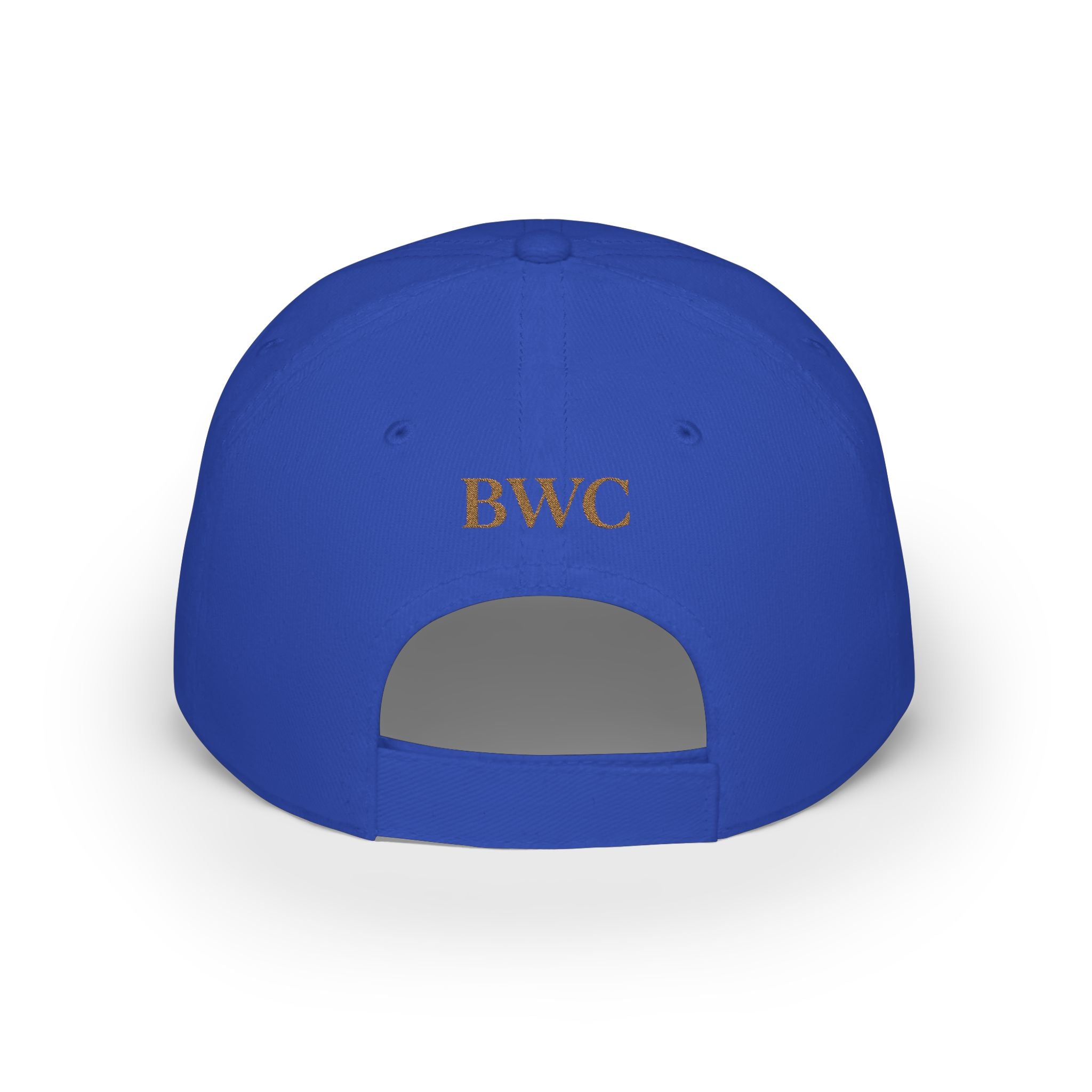 Anti FOMO Club Cap — Low Profile Baseball Hat with Crown Embroidery