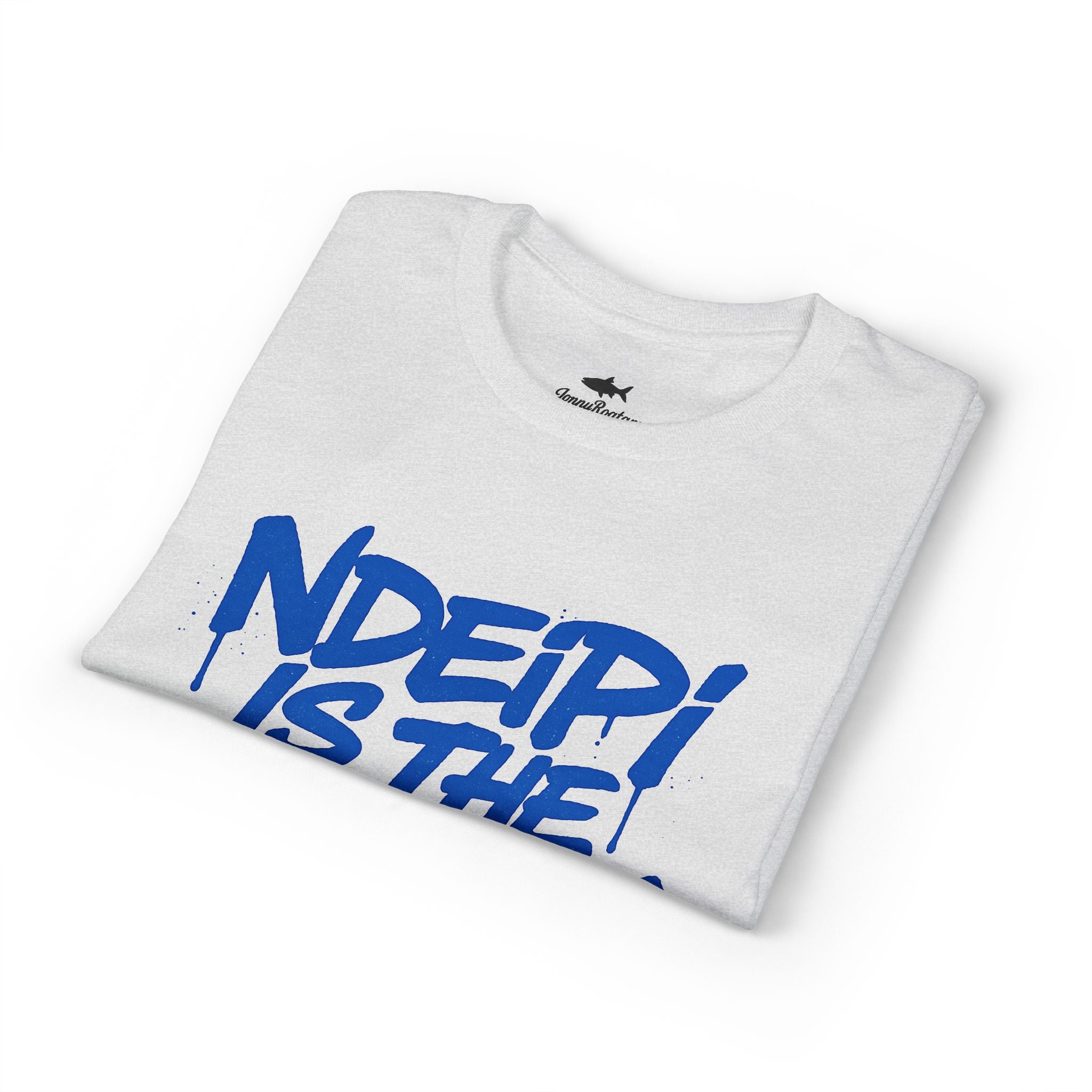 NDEIPI Is The ARK Graphic T-Shirt