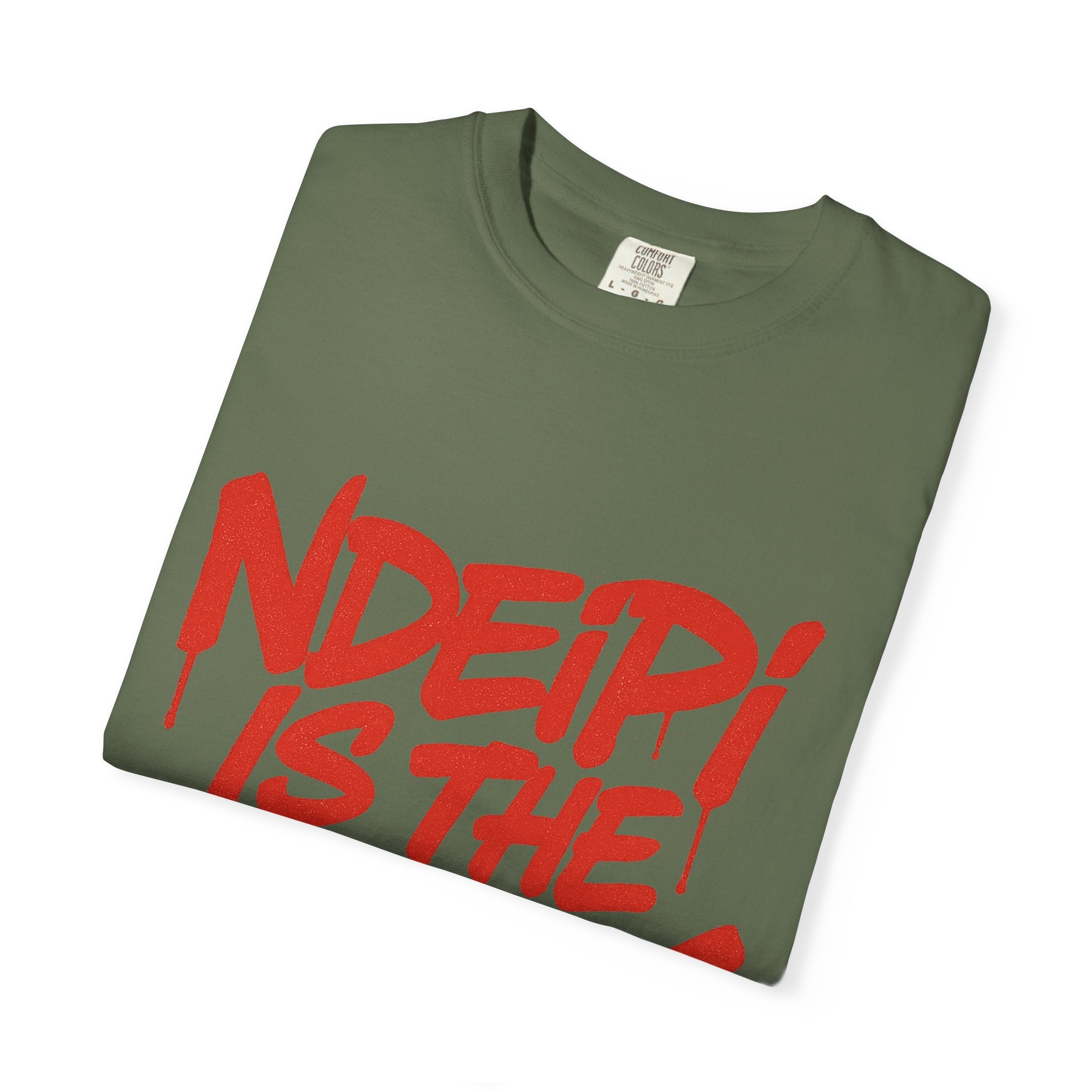 T-Shirt — "NDEIPI IS THE ARK" Red Graffiti Graphic Tee