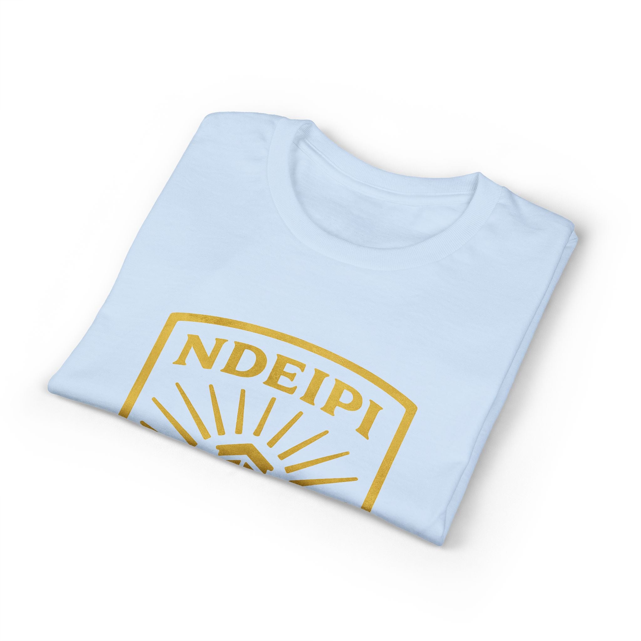 NDEIPI Is The Ark T-Shirt — Vintage Shield Logo Tee