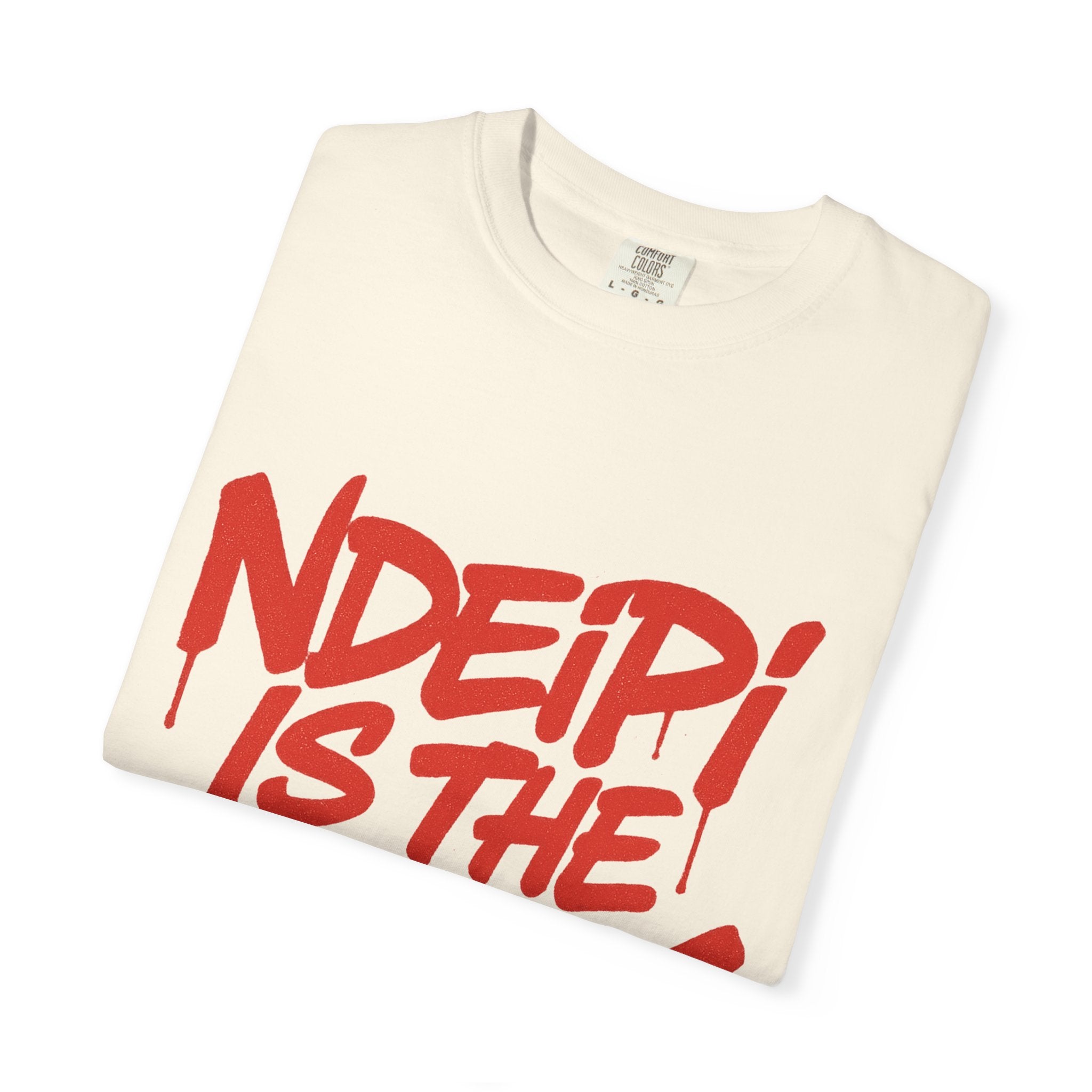 T-Shirt — "NDEIPI IS THE ARK" Red Graffiti Graphic Tee