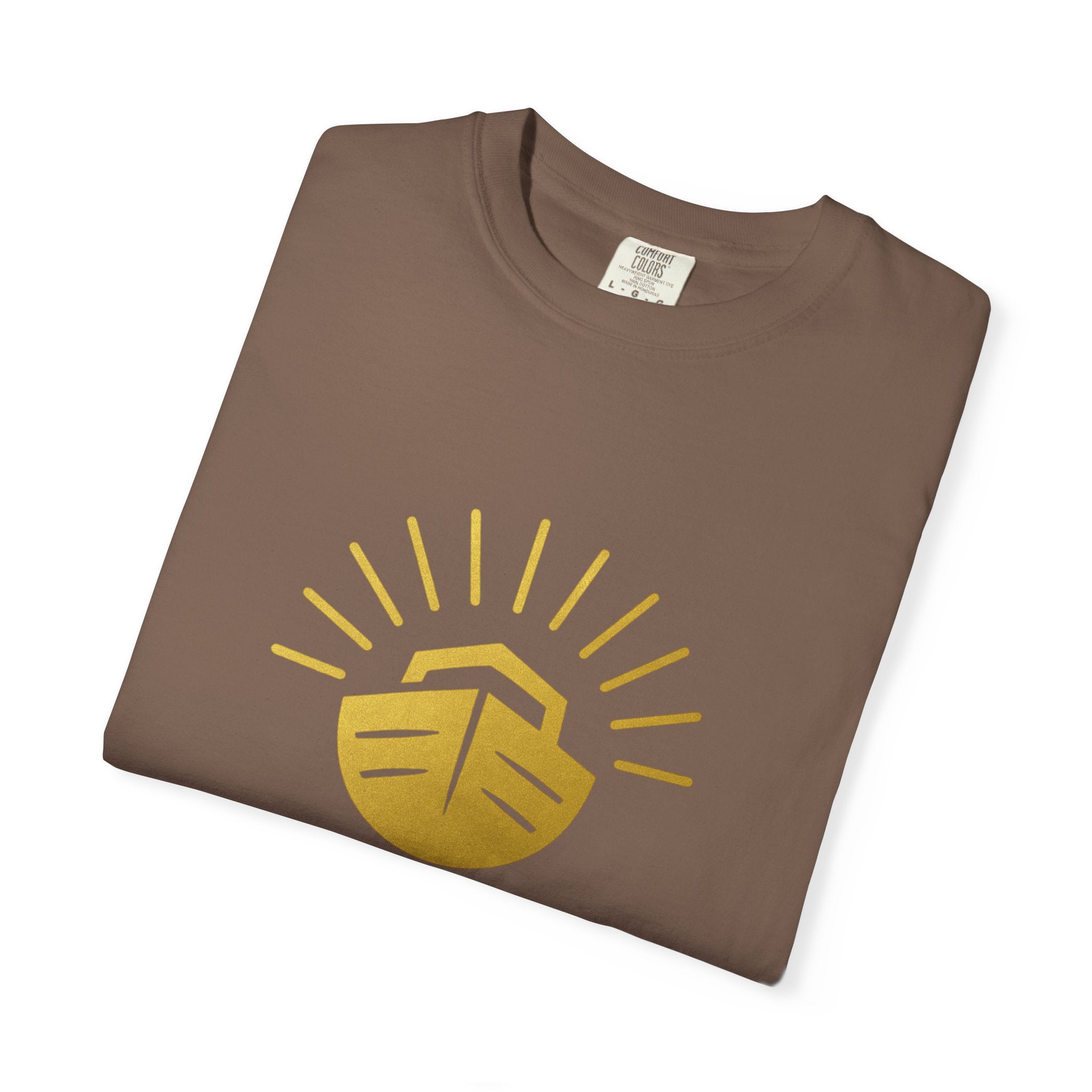 NDEIPI Is The Ark T-Shirt