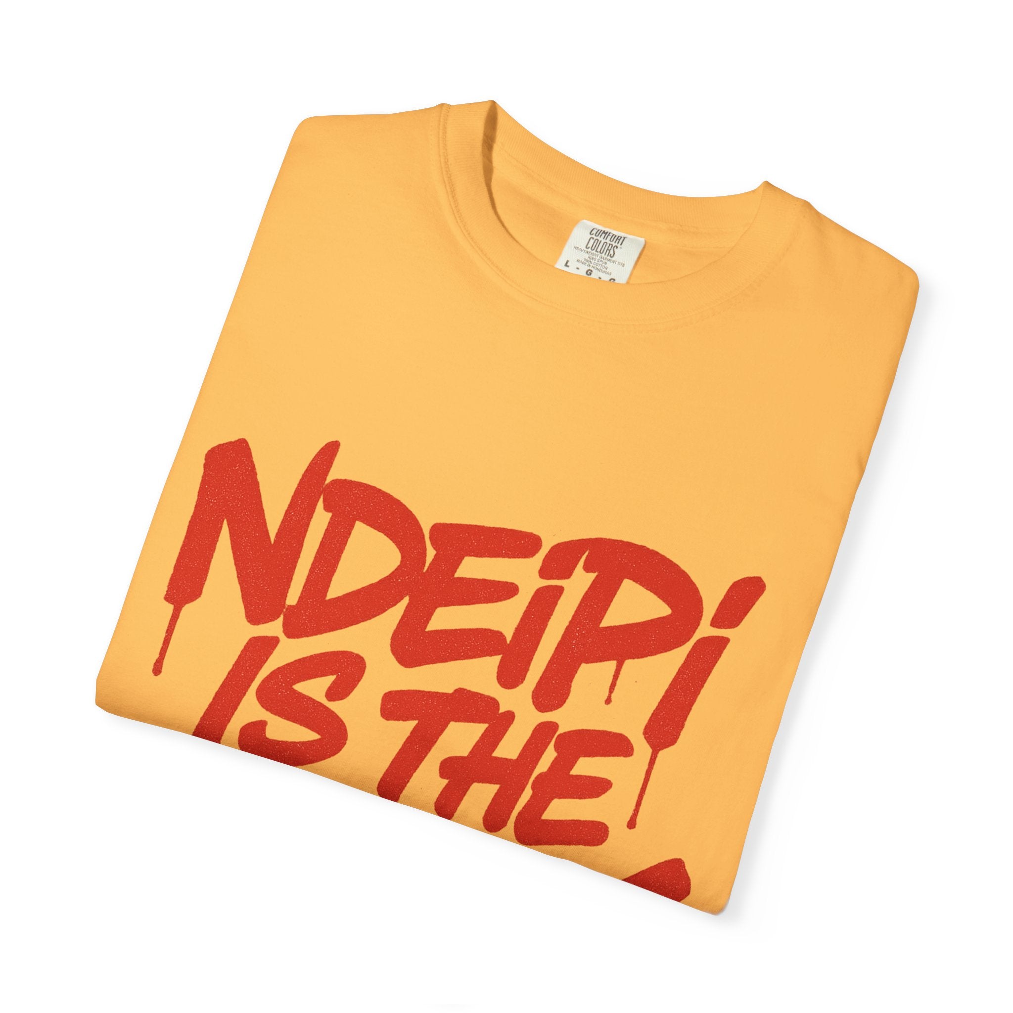 T-Shirt — "NDEIPI IS THE ARK" Red Graffiti Graphic Tee