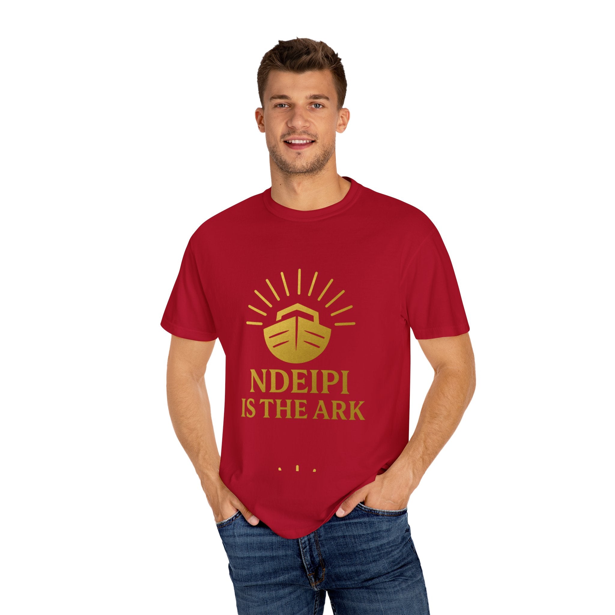 NDEIPI Is The Ark T-Shirt