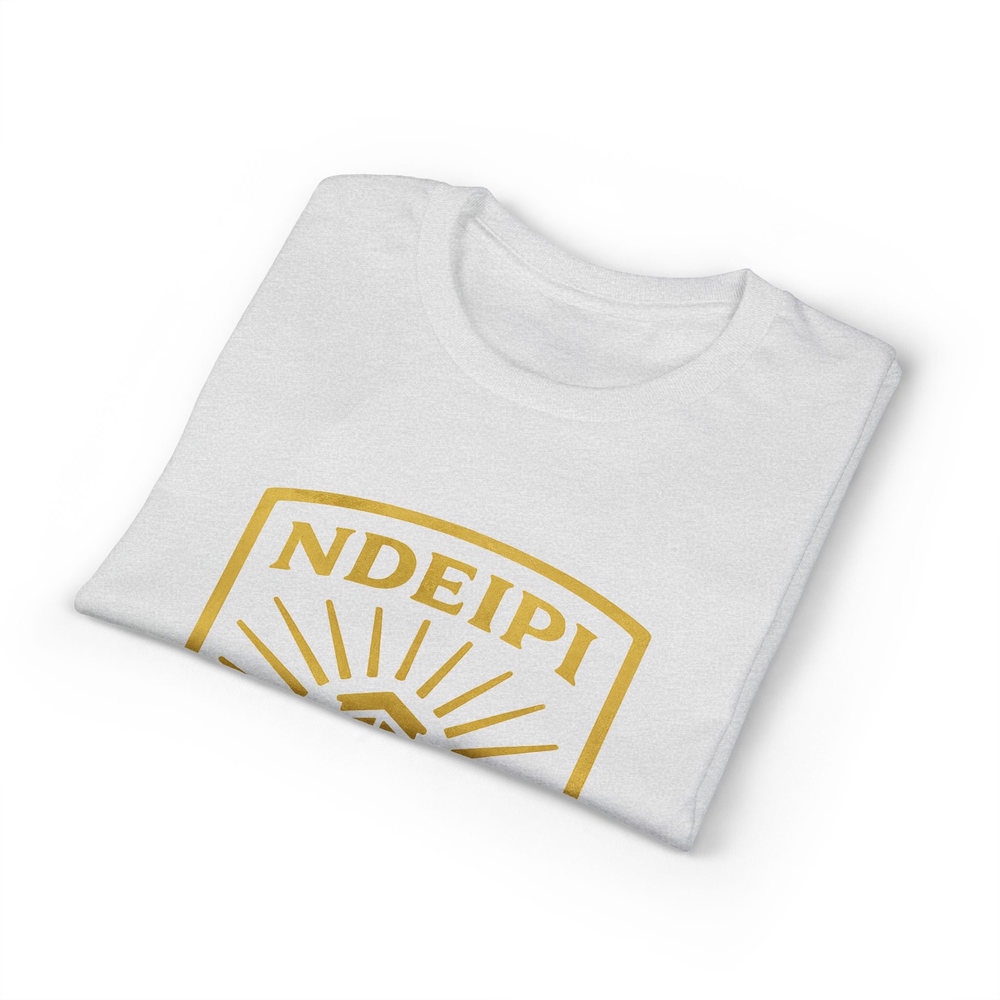 NDEIPI Is The Ark T-Shirt — Vintage Shield Logo Tee