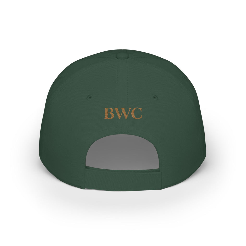 Anti FOMO Club Cap — Low Profile Baseball Hat with Crown Embroidery