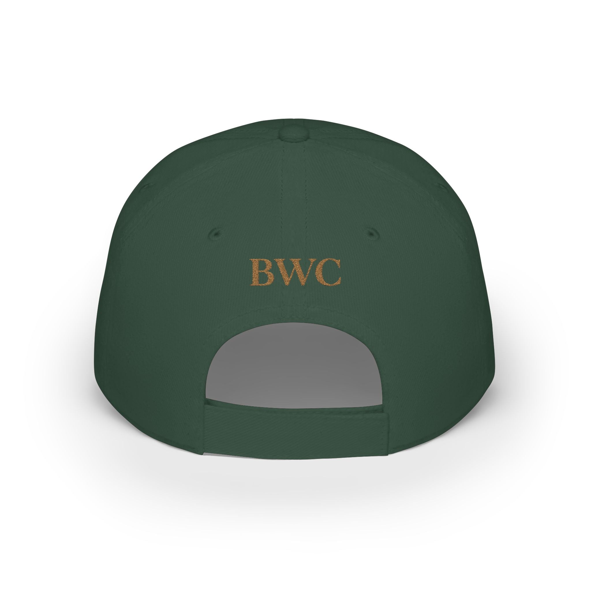 Anti FOMO Club Cap — Low Profile Baseball Hat with Crown Embroidery