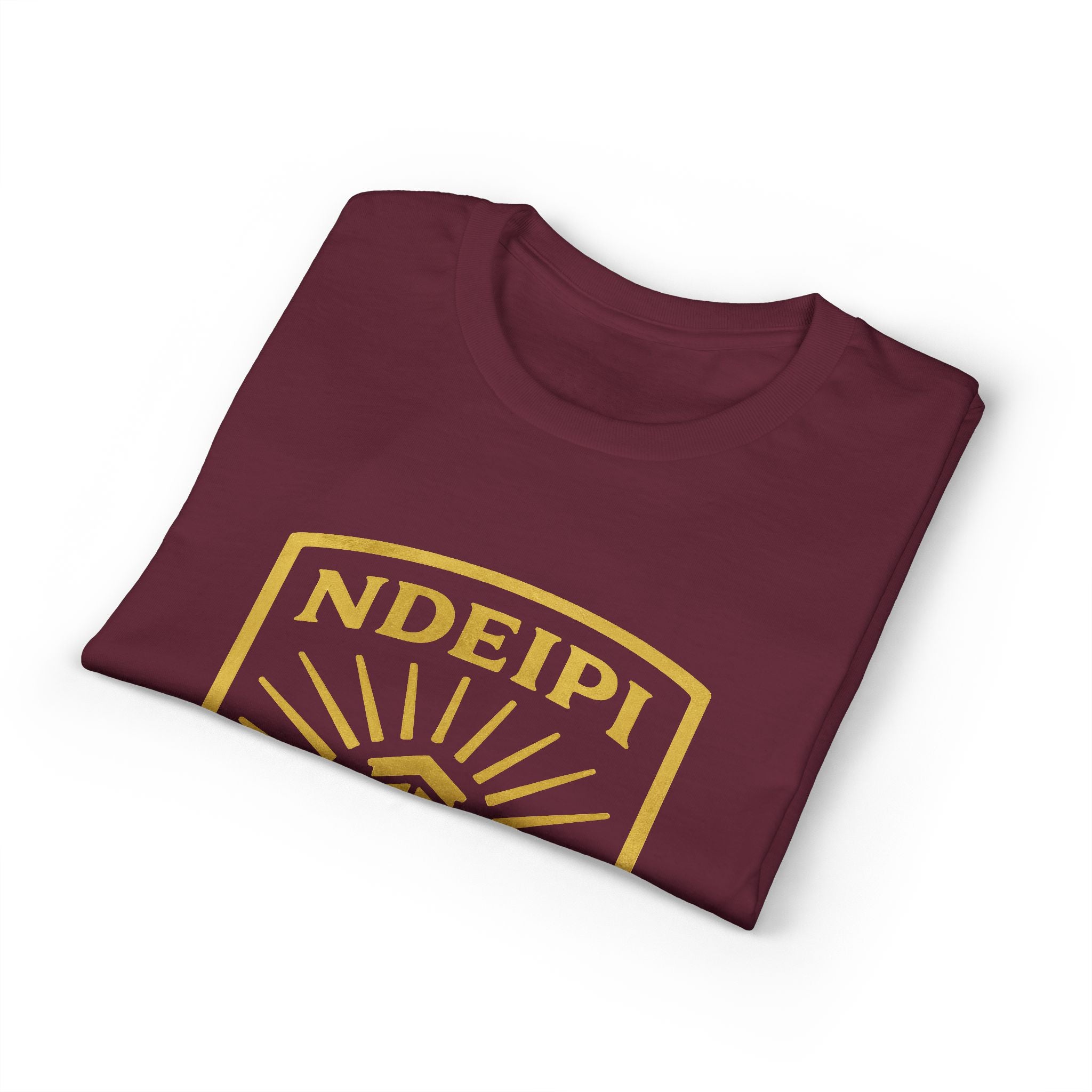 NDEIPI Is The Ark T-Shirt — Vintage Shield Logo Tee