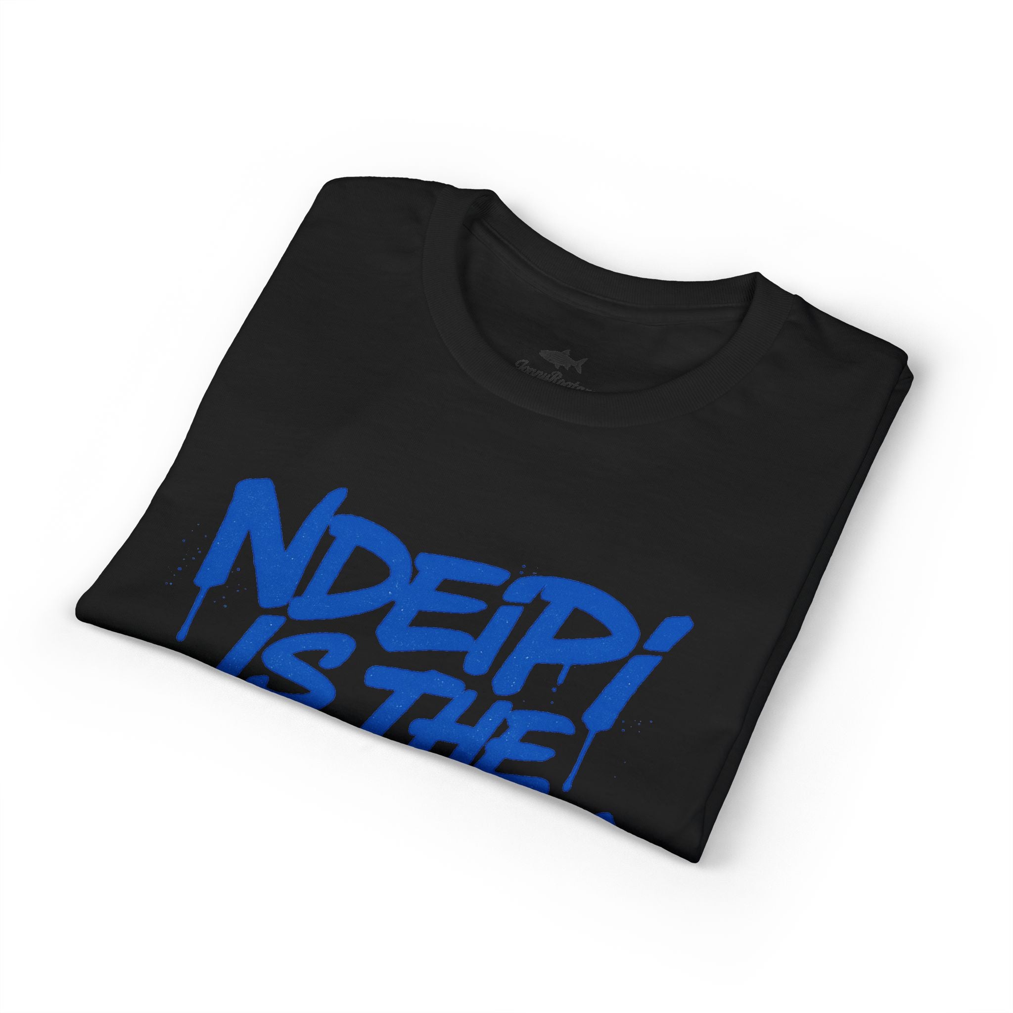 NDEIPI Is The ARK Graphic T-Shirt