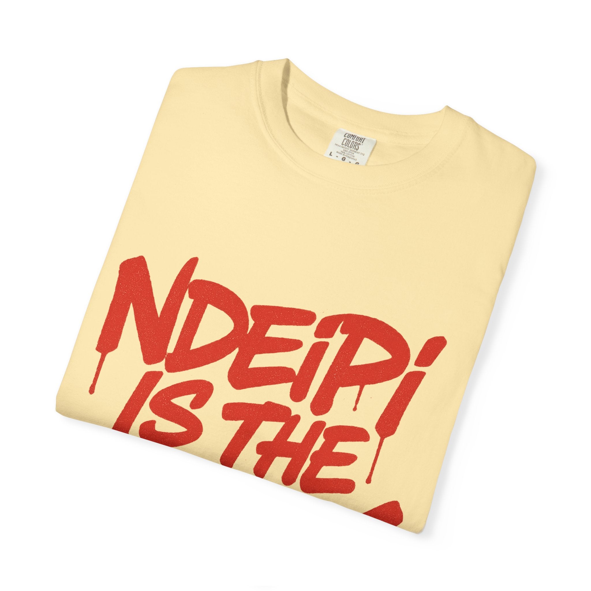 T-Shirt — "NDEIPI IS THE ARK" Red Graffiti Graphic Tee