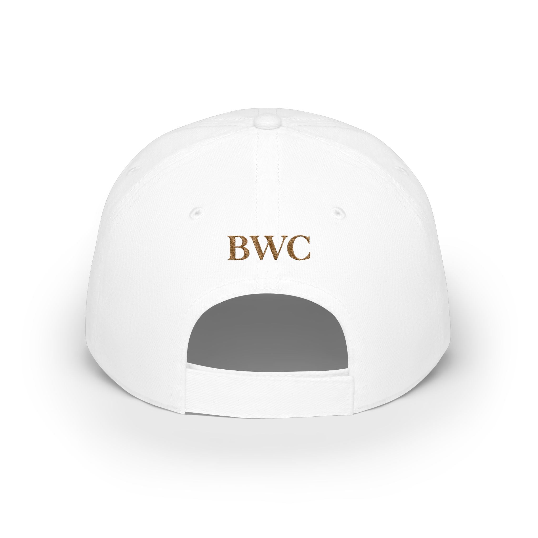 Anti FOMO Club Cap — Low Profile Baseball Hat with Crown Embroidery