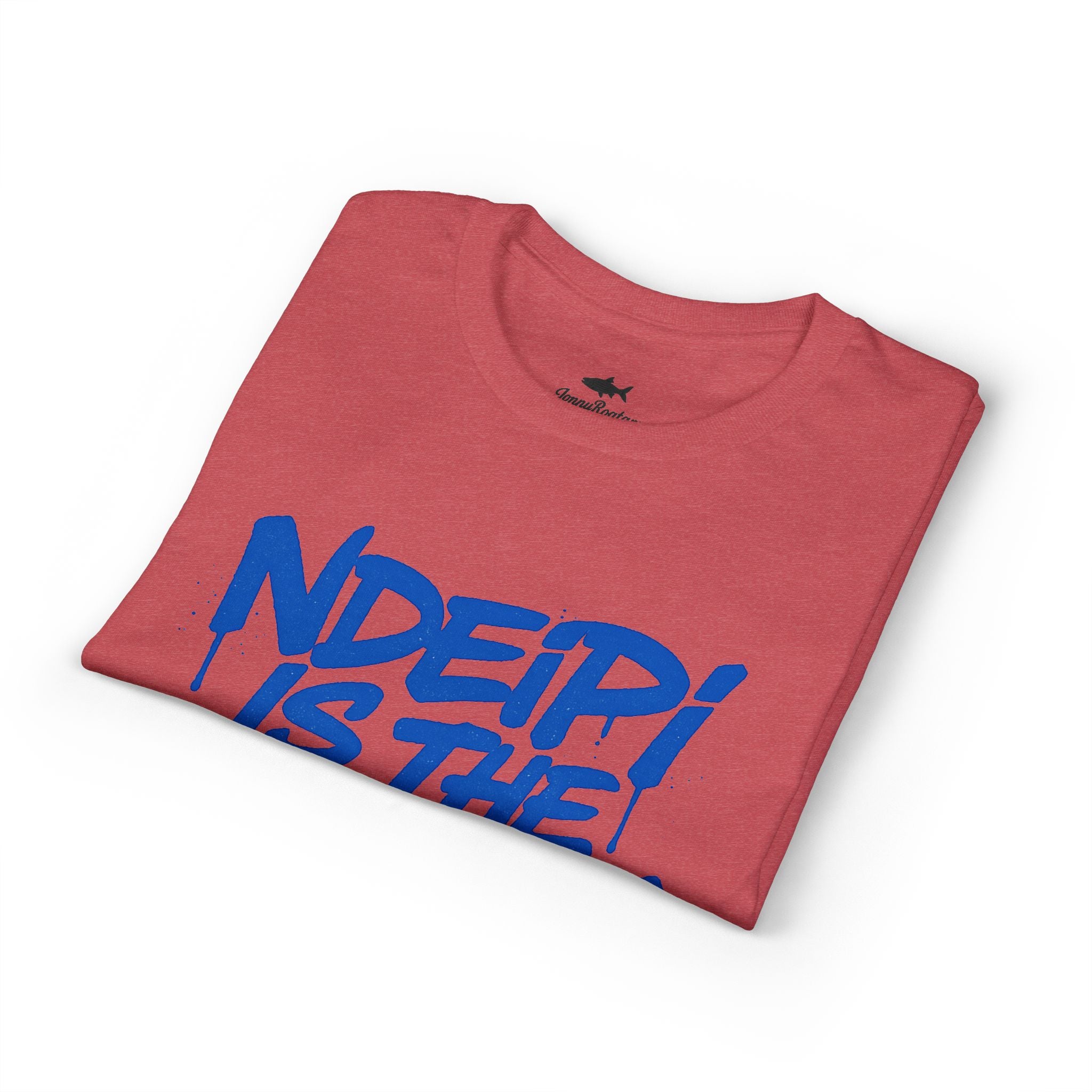 NDEIPI Is The ARK Graphic T-Shirt